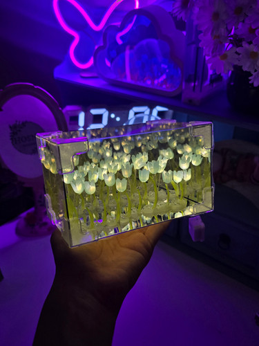 دشت لاله بی نهایت آبی