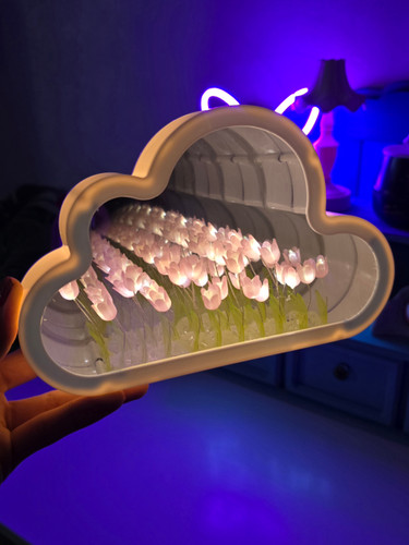 آینه دشت لاله بی نهایت ابری صورتی