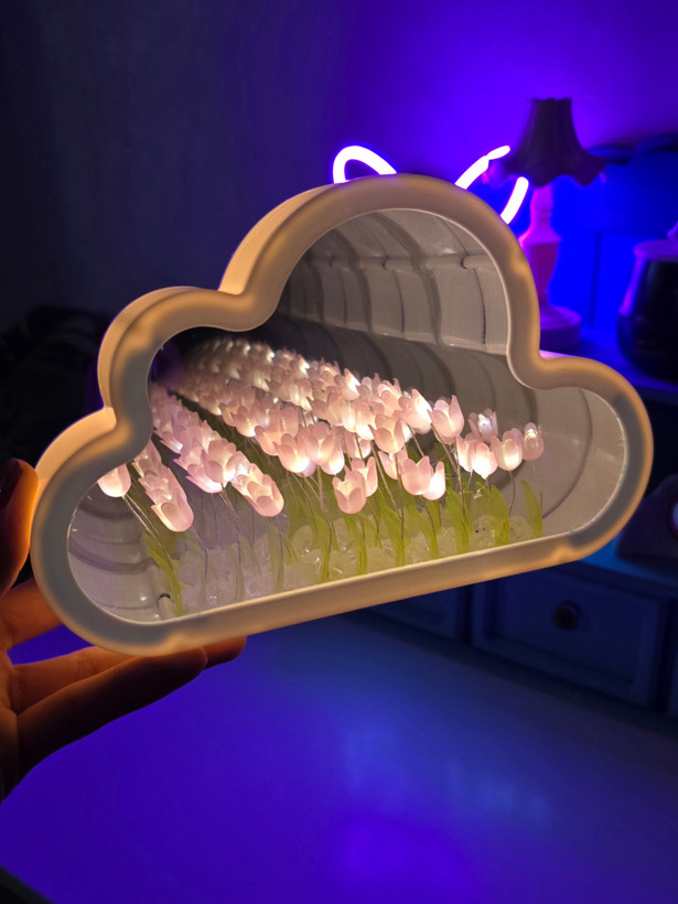 آینه دشت لاله بی نهایت ابری صورتی