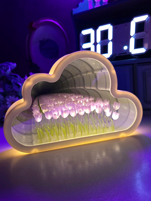 آینه دشت لاله بی نهایت ابری بنفش