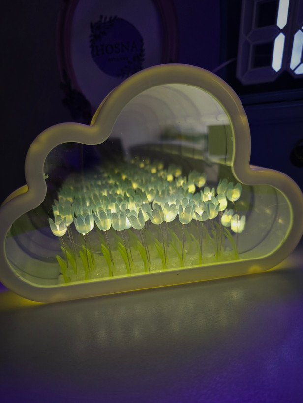 آینه دشت لاله بی نهایت ابری آبی